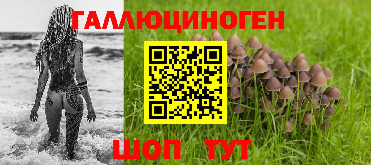 Псилоцибиновые грибы GOLDEN TEACHER  Вход с VPN  Людиново 
