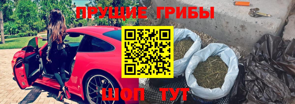 Галлюциногенные грибы Psilocybe Людиново
